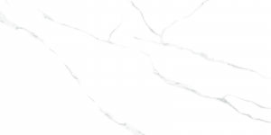 Atlantic Marble Керамогранит  60120AMR00P